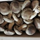 성산농장3 이미지