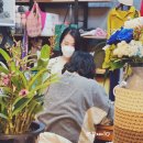 라꼼제이