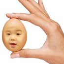 비비어 이미지