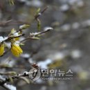 남촌도림동-17 이미지