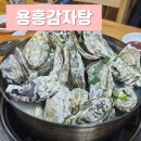 원주맛집| 석화찜 맛집, 단구동 용흥감자탕본점, 올겨울 석굴찜 추천