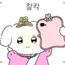 청년정육백화점 이미지