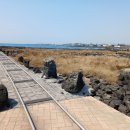 대정1리 이미지