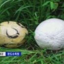 산내면 입석마을 이미지