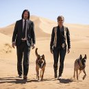 John Wick Chapter 3 이미지