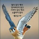 사노라면 이미지