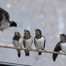 노을해안로 이미지