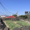 너와랑2층집 이미지