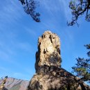 (버스)복창육교 이미지