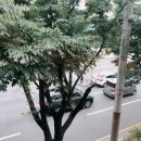 투썸플레이스 시청점 이미지