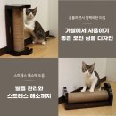 그루밍펫 이미지