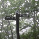 솔나리민박 이미지