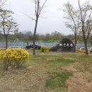 상림고운광장 이미지