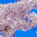 초읍동-26 이미지