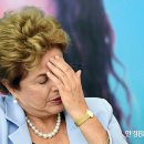 코끼리글로벌 이미지