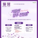 천일홍축제 티스토리