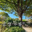 금성가든 이미지