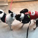 을왕롱비치하우스 이미지