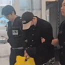 모이면돼지