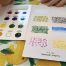 (주)콜로리 이미지