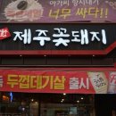 제주꽃돼지 - 강서구 금낭화로 1 | 제주꽃돼지