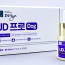 대한반려동물협회 이미지