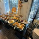 테라스애견미용카페 | 홍천 애견동반 카페 테라스의 아침 후기 | 강아지동반 브런치, 실내불가, 주차·대기시간 정리