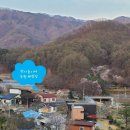 추평농장 네이버블로그