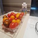 뉴코아아울렛 앞 횡단보도 | 갑상선암 반절제 후기 - 3부 26.3.24