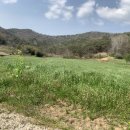 선산세차장 이미지