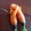 닭통령 Daum카페