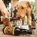 세인트루이스 애견 이미지