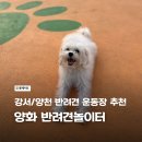염창제일동물병원 | 강서 영등포 염창역 등촌역 반려견 운동장 산책 추천 - 한강 양화 반려견놀이터