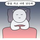 민티 이미지