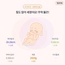 춘천태동요양병원 | [임신35주] 이대서울병원 진료 8️⃣ 태동검사, 르베르쏘 산전마사지, 토익시험