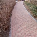 완월동262 이미지