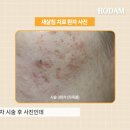 시작한의원 티스토리