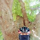 거목경로당 이미지