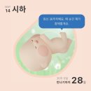 차 기록 | 10개월차, 막달검사, 아기방 꾸미기, 산전마사지, 둘이서 즐기는 마지막 휴가, 출산준비...