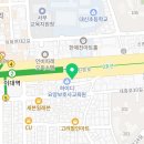 강남 요미독앤캣 강아지 분양 고양이 분양 이미지