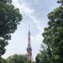 일본 도쿄 부부 커플 자유여행4-도쿄타워/도쿄원피스타워/원피스타워예매/원피스라이브쇼/원피스덕질/
