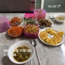 주)코웰앤 | 일상기록 :: 23"02'13 ~ 02'19, 만두네 새식구 치즈(라떼) 온 주 ♡