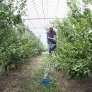 드림농원 이미지