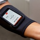 팜 (palm) 이미지