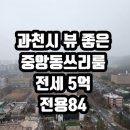 과천중앙공인중개사사무소 이미지