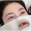 눈썹뷰티