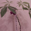 경주촌캉스효현스테이 이미지