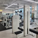 곤조(GONZO)PT 이미지