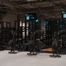 피스트짐 이미지