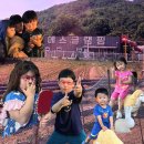 호정농장 | 천안 글램핑 아이와 가기 좋은 가성비 에스글램핑 내돈내산 1박2일 꿀팁 총정리